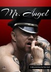 Mr. Angel (2013).jpg